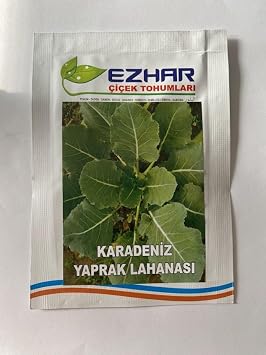 CABBAGE BLACK SEA (MULTI-SEED) - 5 Grams