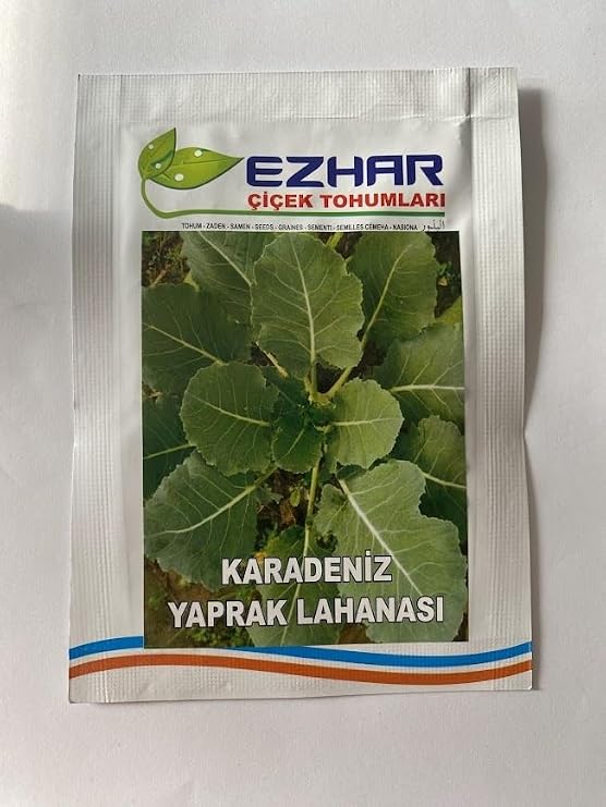 CABBAGE BLACK SEA (MULTI-SEED) - 5 Grams