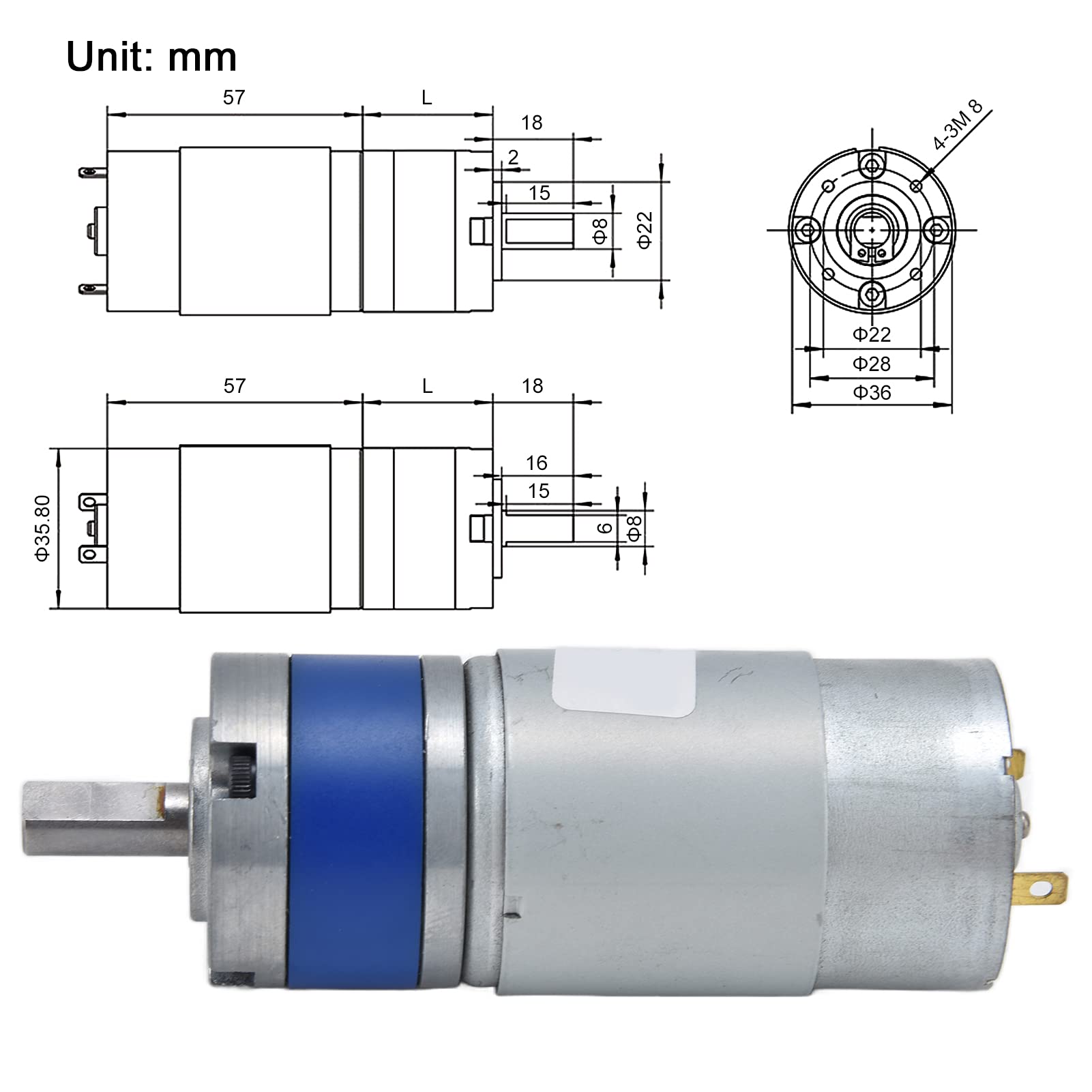 12V DC-Getriebemotor, CM36-555 Micro-Geschwindigkeitsreduzierungsgetriebemotor D-Welle Permanentmagnetmotor Kohlebürsten-Elektromotor (60RPM)