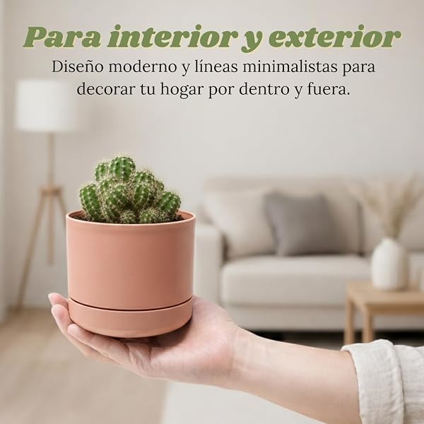 Mini Macetas Plástico Plato Incorporado 10,5cm, Pack 12 Maceteros para Cactus y Suculentas, Tiestos para Plantas Interior, Macetas Pequeñas Decorativas Modernas (12 x Pastel 10,5cm) - 5