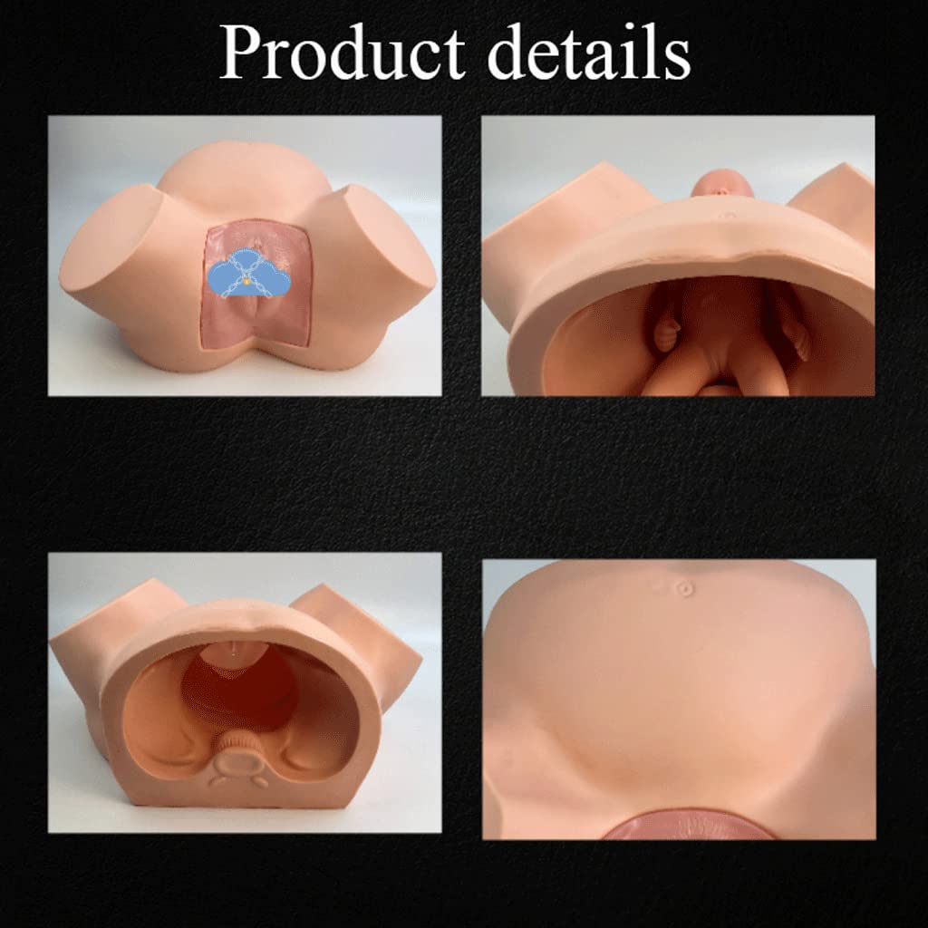 PLbsE Demonstration Female Childbirth Manikin Advanced Midwifery Training Model Standard Childbirth Simulator for Medical Teaching