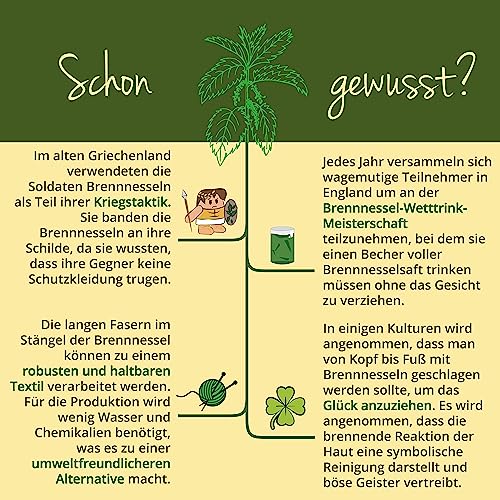 Brennnessel Kapseln von Vegavero – Hochdosierte Bio-Nahrungsergänzung