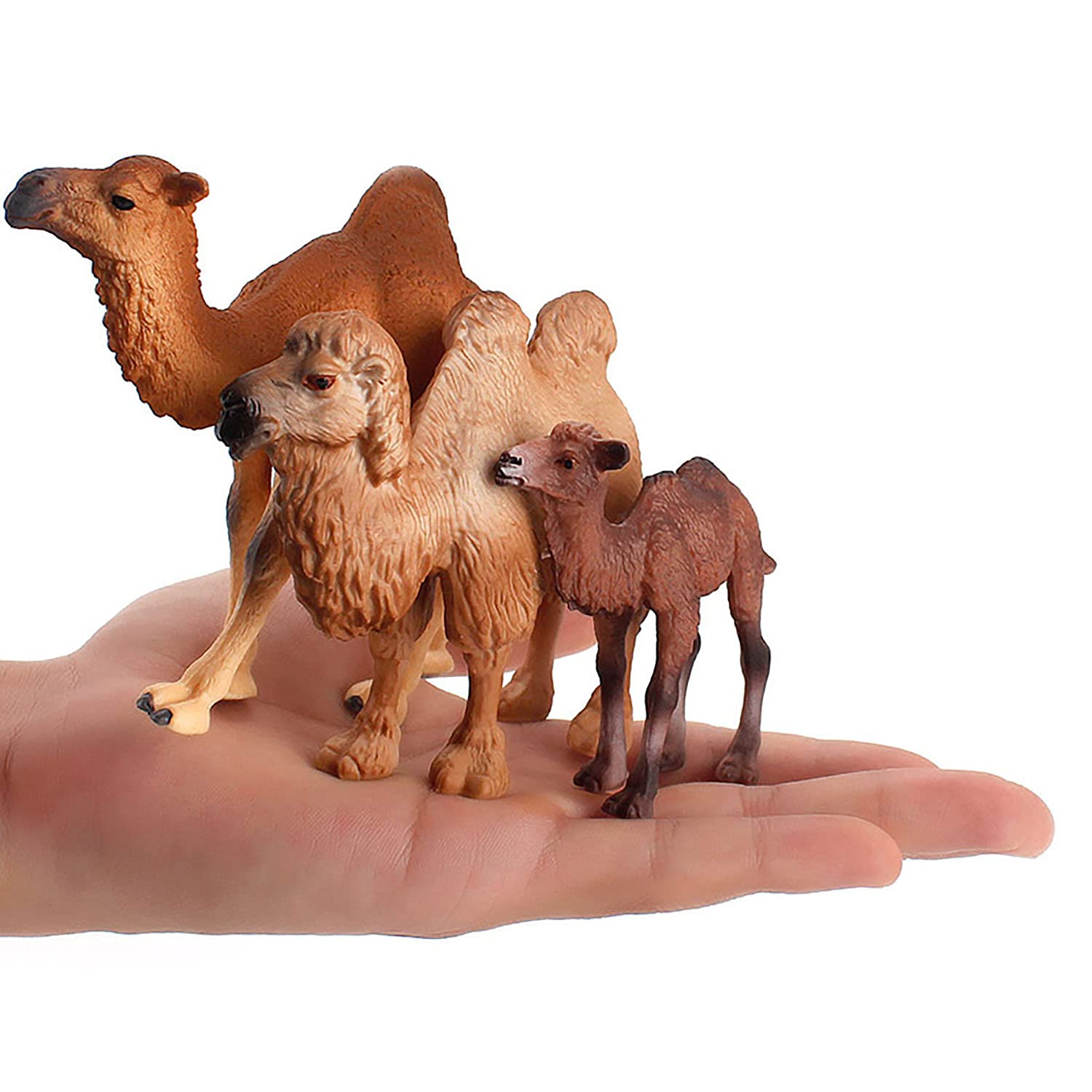 JOKFEICE - Statuine di animali in plastica, modello di azione scientifico, per imparare giocattoli educativi, regalo di compleanno, decorazione per torta, per bambini