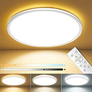 GOHIVTY 24W LED Ceiling Lights - 3000LM 30cm ...,