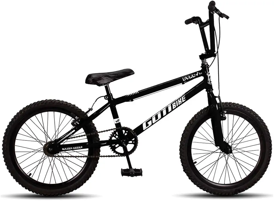 Bicicleta Infantil Aro 20 Bmx Freio V-Brake Gottbike
