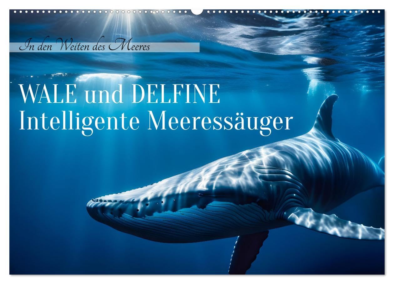 Wale und Delfine - Intelligente Meeressäuger (Wandkalender 2026 DIN A2 quer), CALVENDO Monatskalender: In den Weiten des Meeres (CALVENDO Tiere)