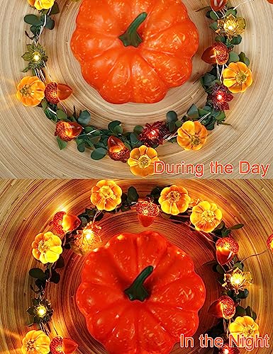 Bohon Thanksgiving Decoration Acorn 3D Pumpkin Maple Leaf String Lights Battery Operated With Remote 10Ft 30 Leds Orange Fall Lights For Home Autumn Garland Harvest Halloween Party Christmas Decor thumb #4