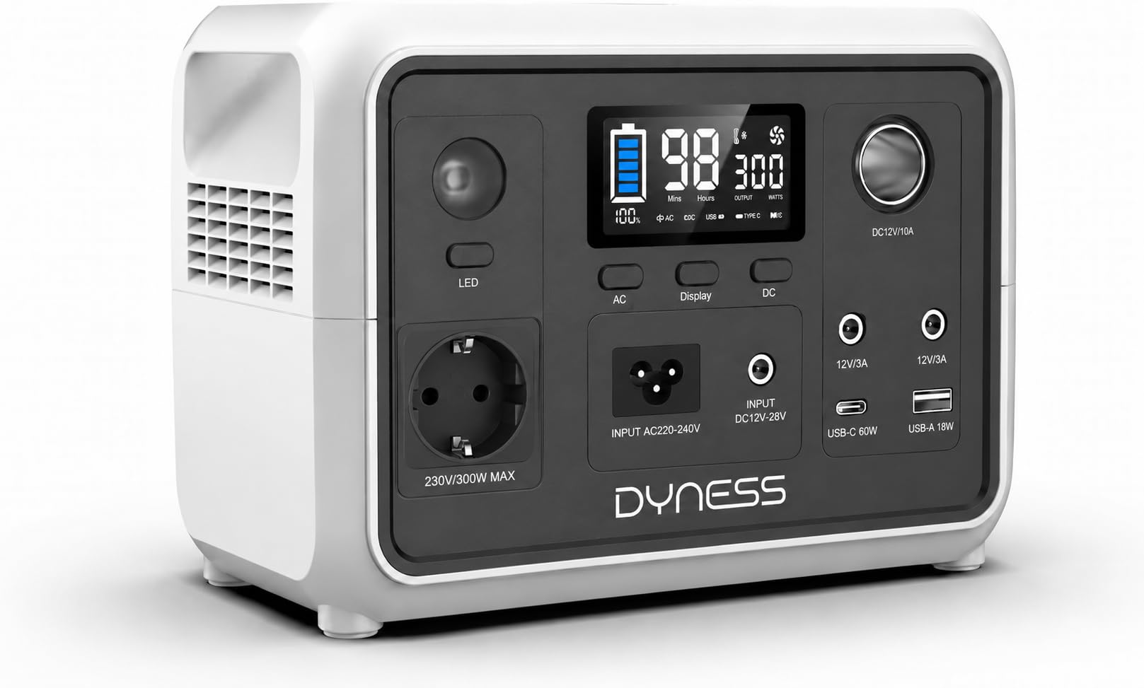 Dyness PPS300