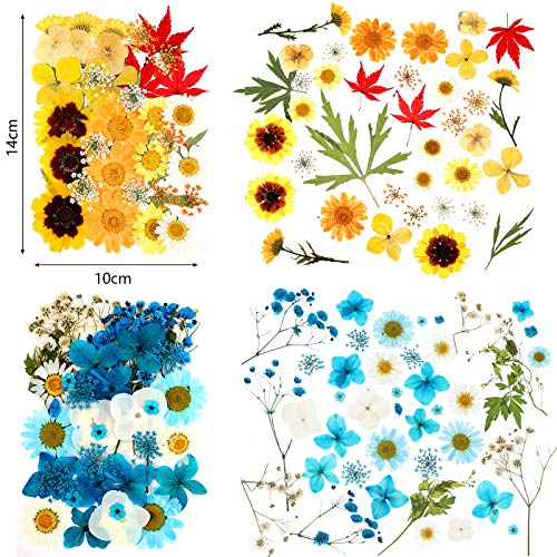 110 Piezas Flores Secas Prensadas para Resina con Pinzas y Caja miniatura 3