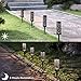 MAGGIFT 8 Pcs Solar Powered LED Garden Lights, Solar Path Lights Outdoor, Automatic Led Halloween Christmas Decorative Landscape Lighting for Patio, Yard and Garden