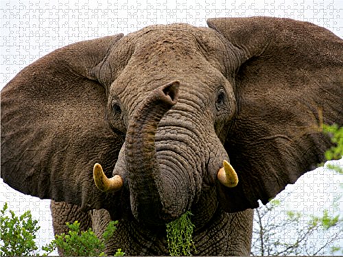 White Mountain Puzzles Cajas De Cereales - Puzzle De 1000 Pi