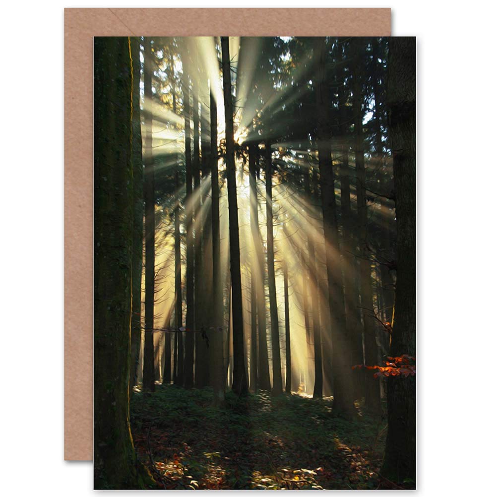 Wee Blue Coo BIRTHDAY PAINTING SUNBEAM FOREST SCENE ART GREETINGS GREETING CARD GIFT