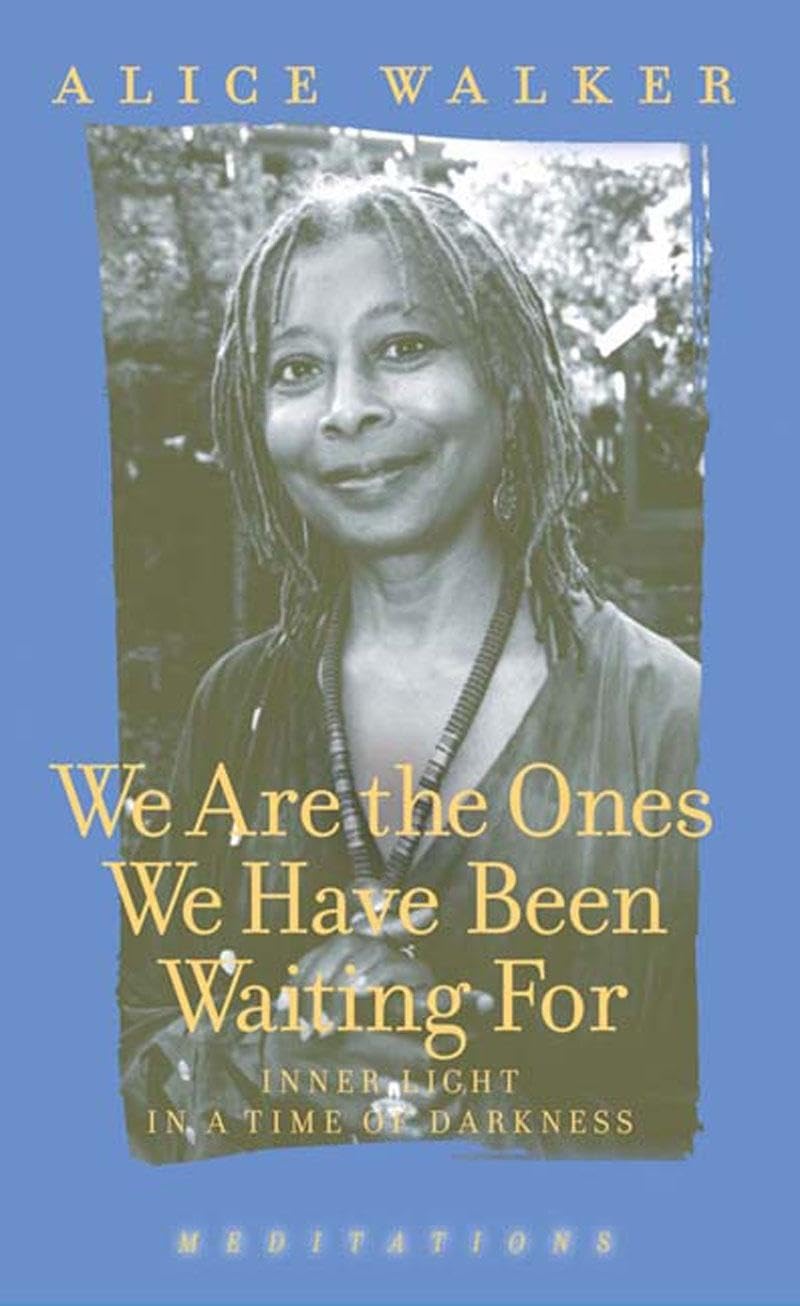 Buy We Are the Ones We Have Been Waiting For: Inner Light in a Time of Darkness — BookShops.in