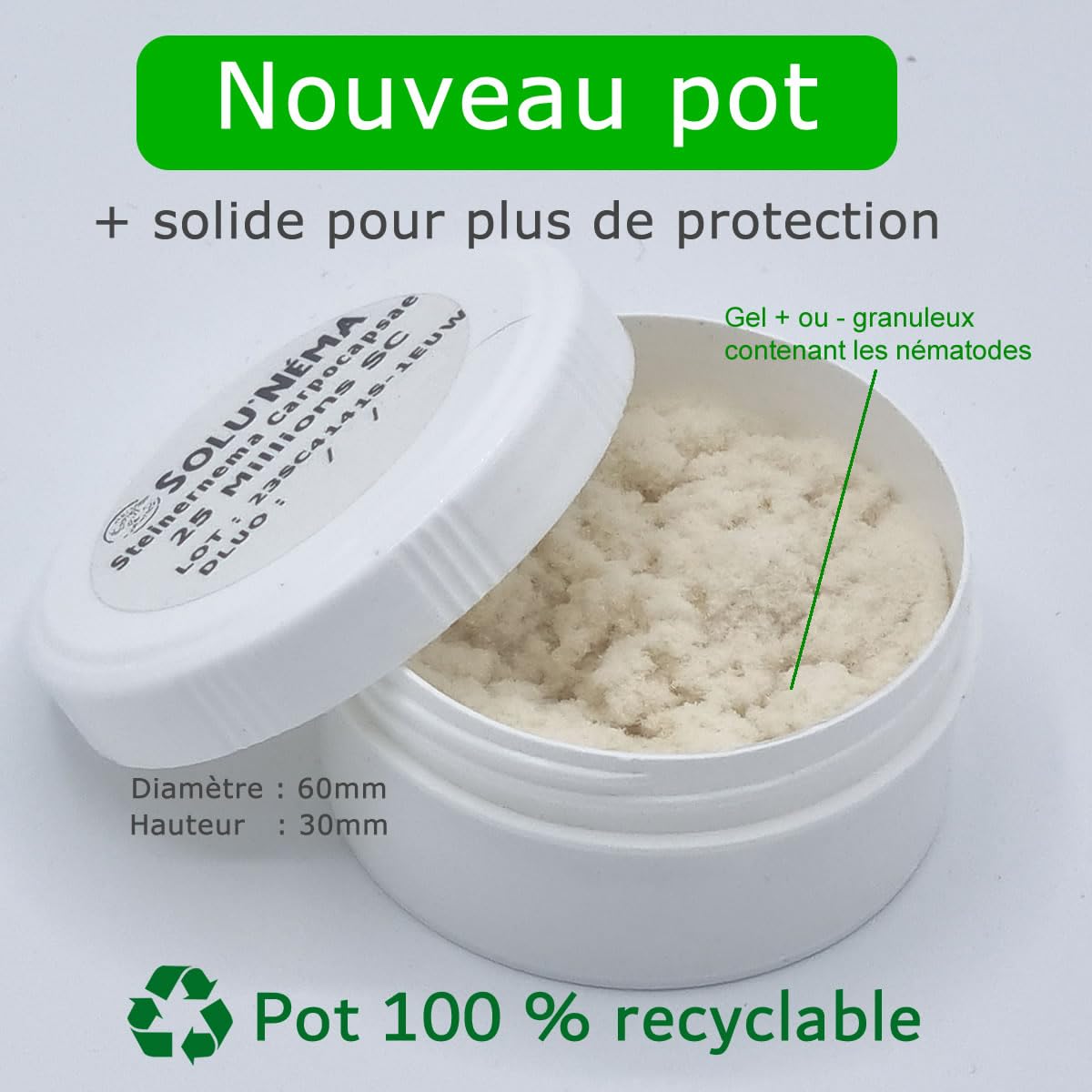 SOLUNEMA - Capnode du pêcher - 25 Millions Nématodes Steinernema Carpocapsae (SC)
