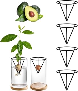 Avocado-Anzucht-Set, professioneller Avocado-Samenhalter, dreieckige Halterung aus Metall, für Männer und Frauen, Gartenliebhaber, Zuhause, Büro, Tischdekoration, 4 Stück