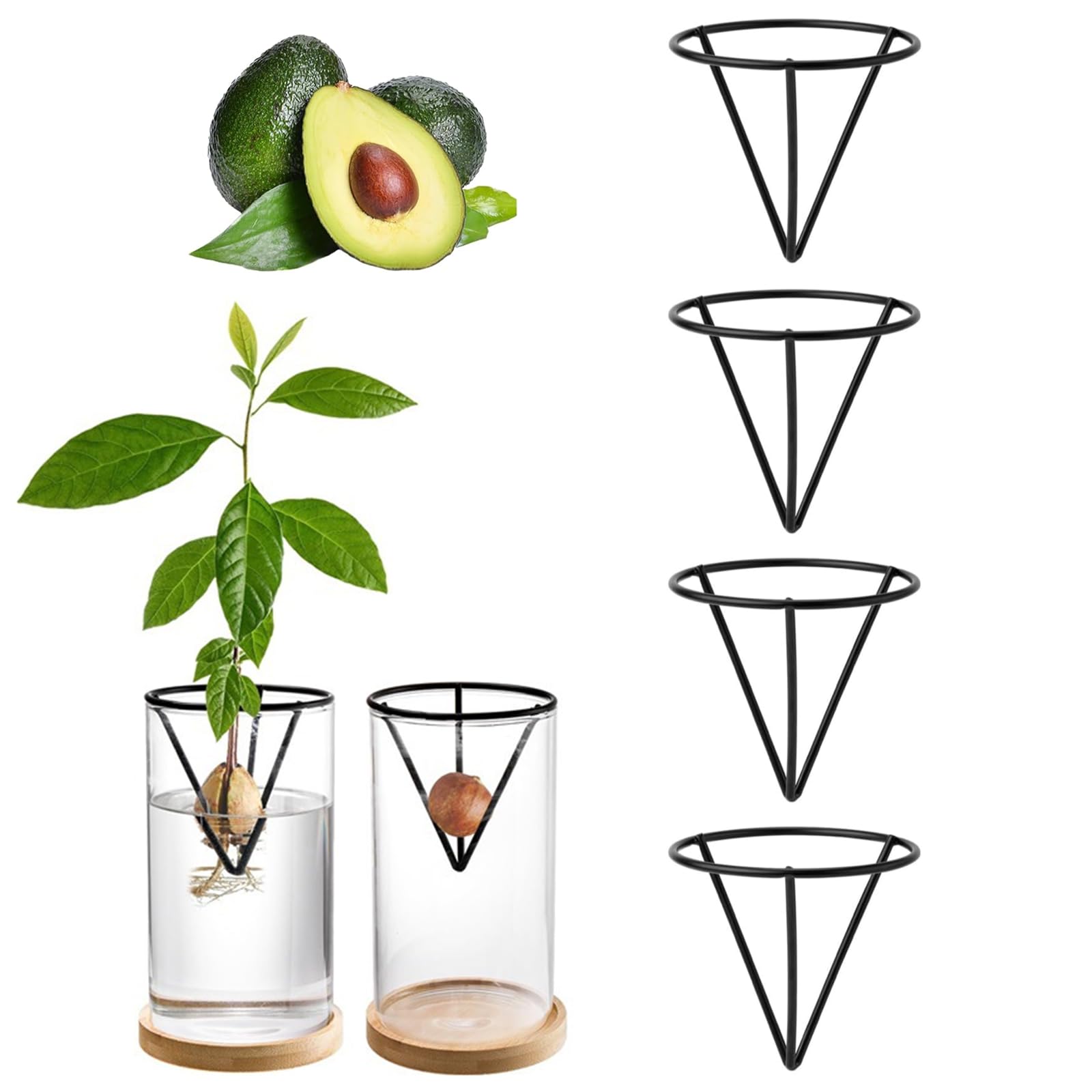 Lot de 4 Kits de Culture d'Avocat Professionnels - Supports de Graines Triangulaires en Métal