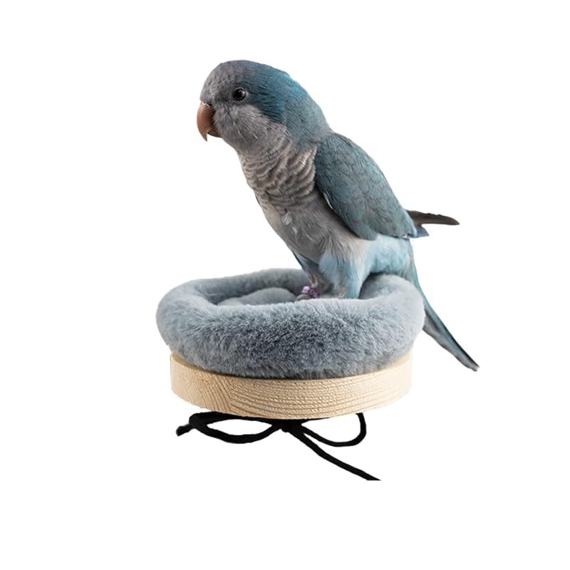 Poleiro Plataforma de Madeira para Aves com Almofada de Algodão, Barn Eleven, Tamanho Pequeno, Cinza