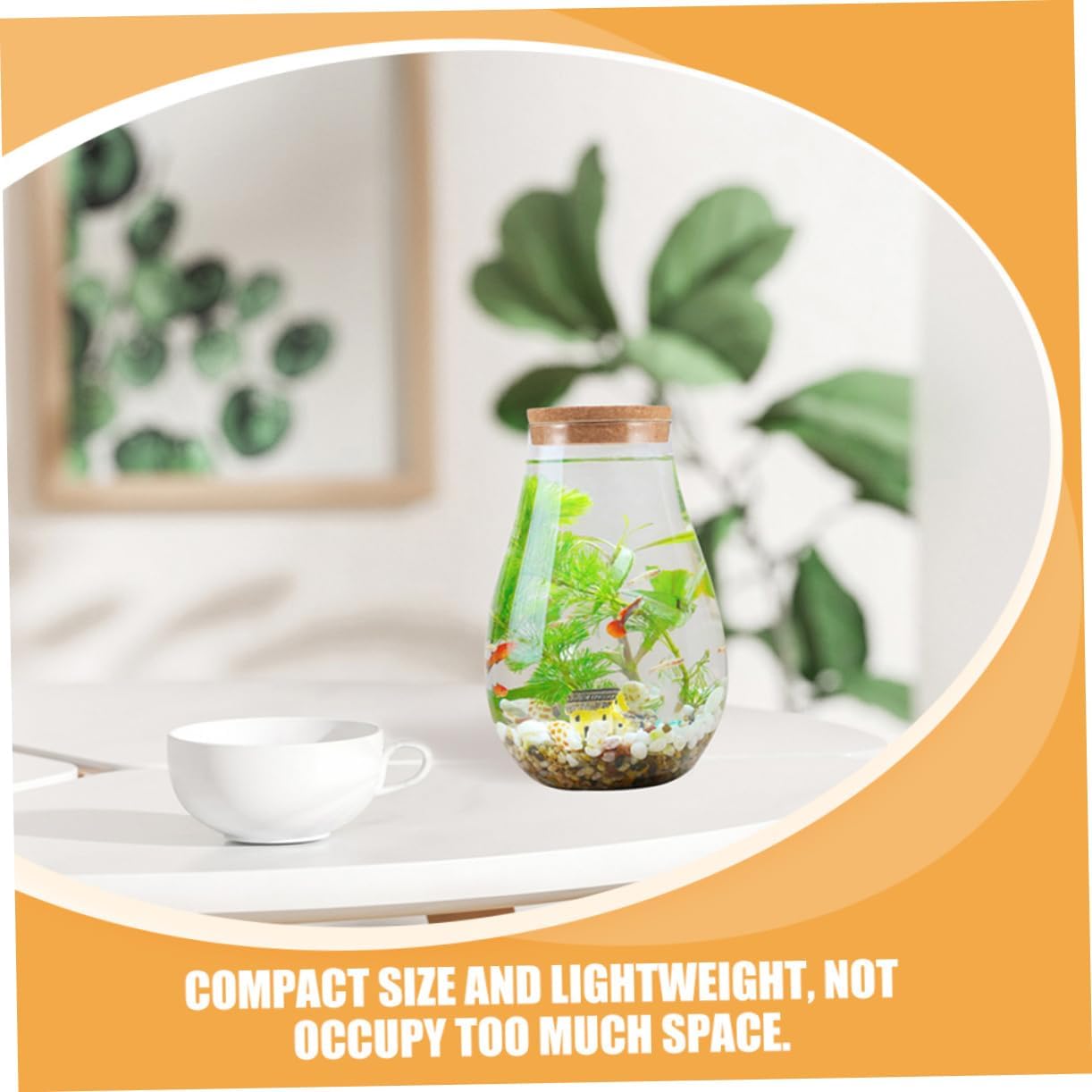 Totority 2pcs Glass Terrarium Lid for Hydroponic Plants DIY Micro Landscape Eco Bottle Indoor Green Plant Decoration Small Glass Pots for Succulents