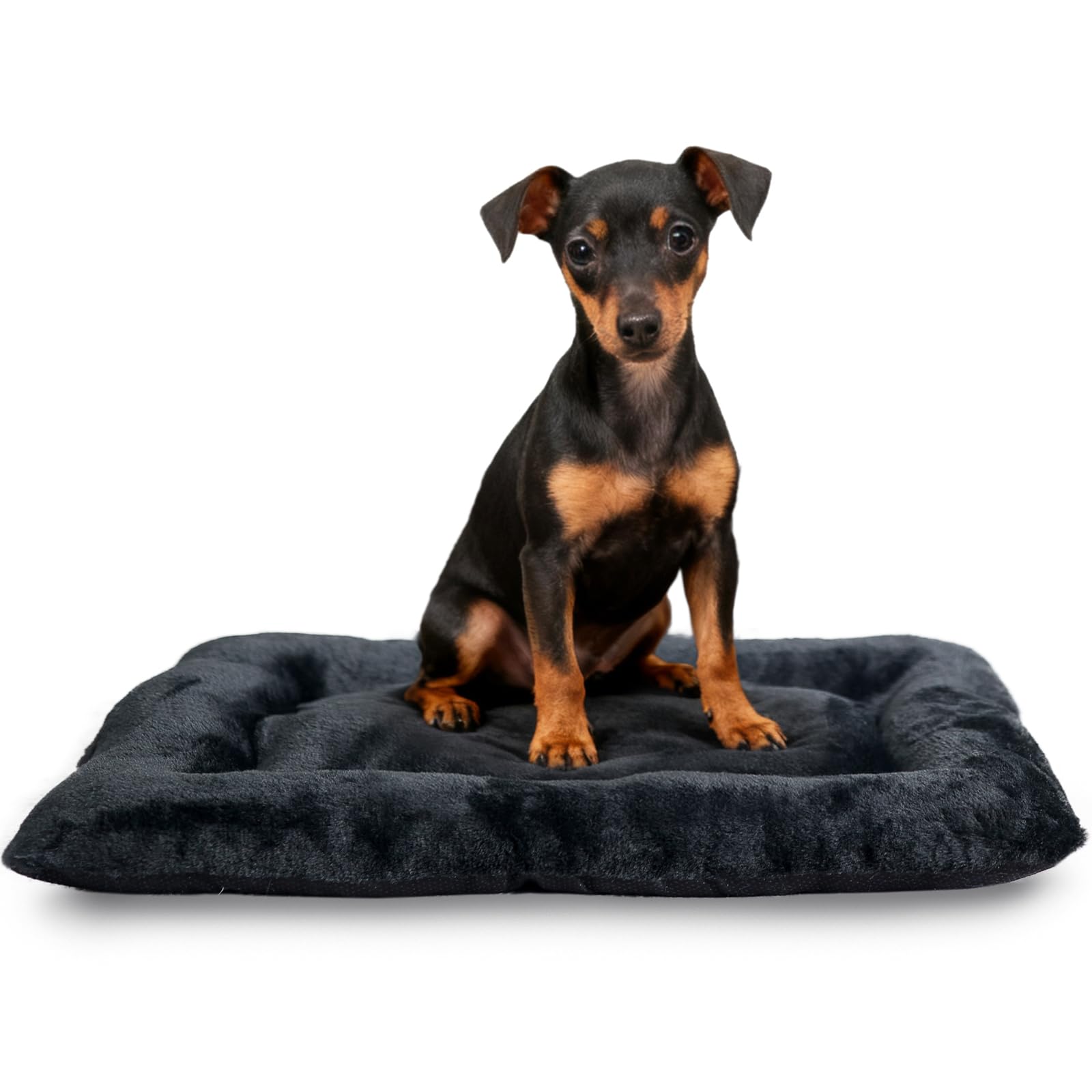 Pet Bed for Crate 22 x 13 inch Fit Dogs or Cats Washable&Anti-Slip,Ultra Soft XS Dog Beds Kennel Pad for Cage Soft Flat Puppy Kitten Cushion Sleeping Mat,Black