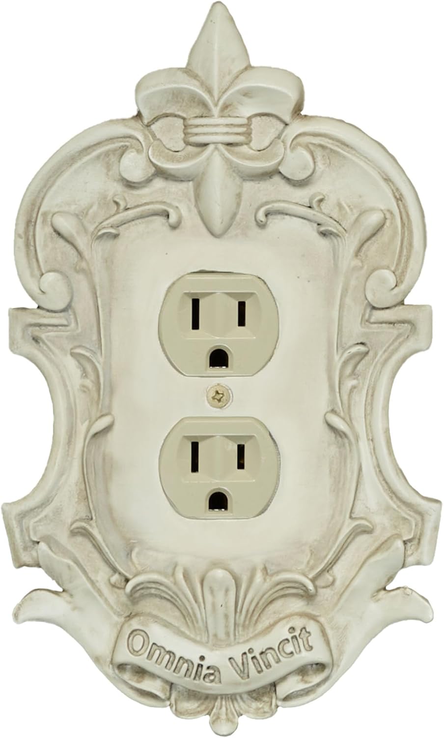 Royal Fleur-De-Lis Lighting Switchplate | Aged Gold | Single Rocker/Dimmer/GFCI Outlet Plate | Traditional Style Light Cover with Dimensional Fleur, Scrollwork, and Latin Banner | Hardware is Included