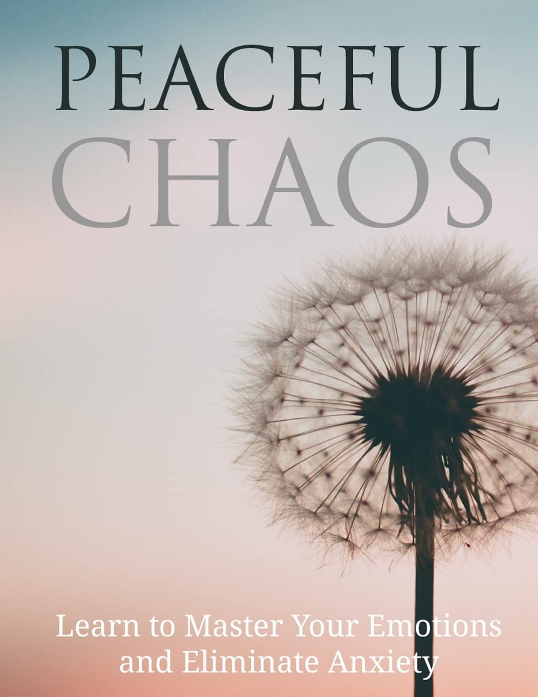Peaceful Chaos: Learn to Master your emotions and eliminate Anxiety