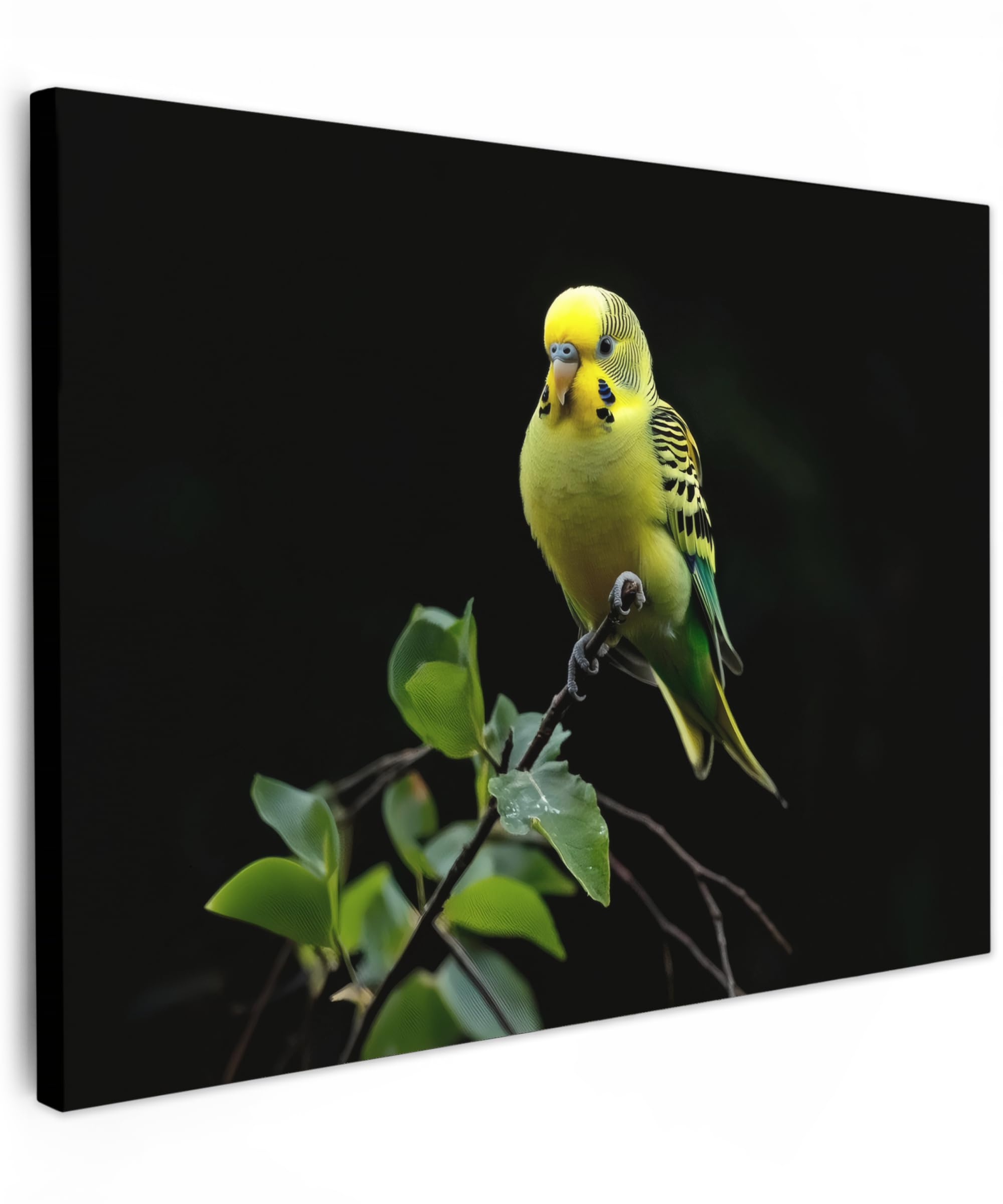 MuchoWow© Canvas Wall Art 28"x20" / 70x50 cm Home Decor Paintings for Living Room Decorations Gifts Hallway Parakeet - Branch - Leaves - Yellow