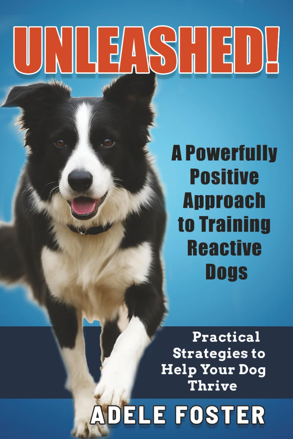 Unleashed! A Powerfully Positive Approach to Training Reactive Dogs: Practical Strategies to Help Your Dog Thrive