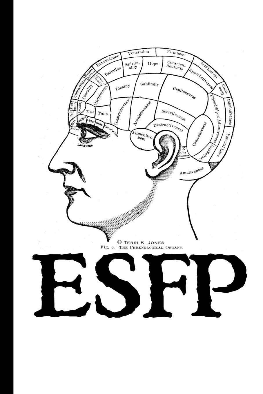 ESFP Personality Type Notebook (Myers-Briggs Personality Type Notebooks)