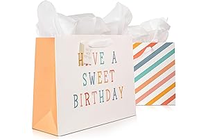 Beautiful Birthday Gift Bags Set of 2