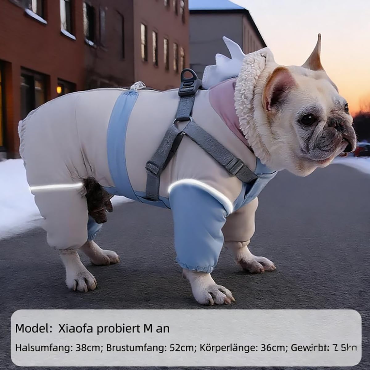 Schneeanzug Hund, Hundemantel Winter mit Beinen & integriertem Geschirr – Wasserdichter Schneeanzug/Overall für Hunde, wärmender Wintermantel mit Beinschlaufen für kleine bis große Hunde (B, 3XL)