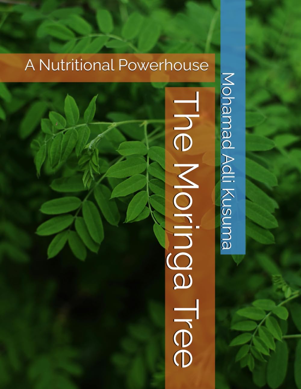 The Moringa Tree: A Nutritional Powerhouse