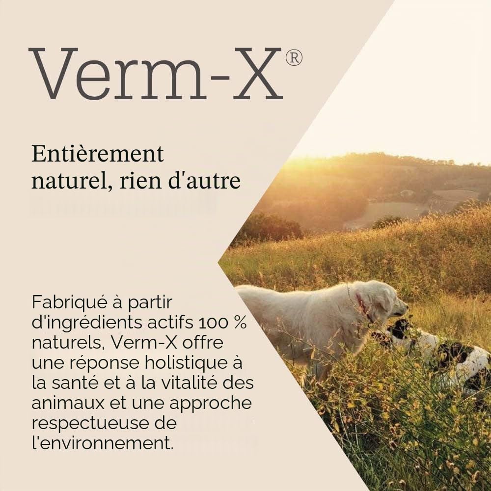 Verm-X pour Chiens - Biscuits - 650 g,
