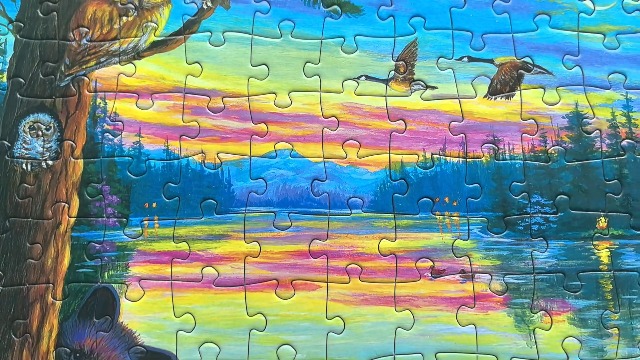Amazon.com: 300 Piece Puzzles for Adults Large Piece - Jigsaw