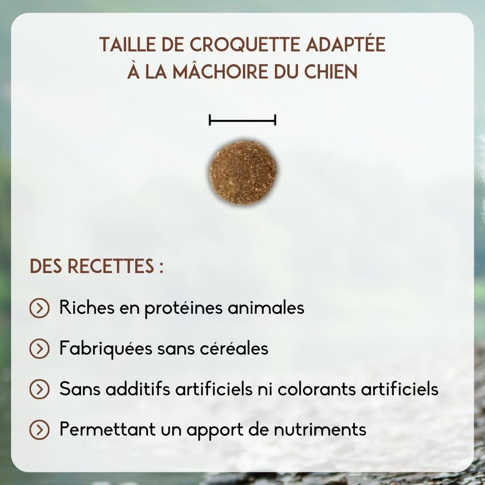 NUTRIVET - INNE Chien - Croquetas sin Cereales - Pero Anciano - 80% Ingredientes de Origen Animal - 12 kg