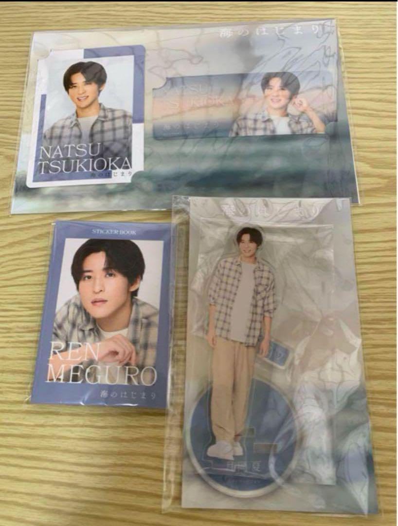 月岡夏 海のはじまり 目黒蓮 3点セット 目黒蓮　海のはじまり　月岡夏　3点セット　アクリルスタンド　ステッカーブック　ドラマコレクションカードセット　未開封