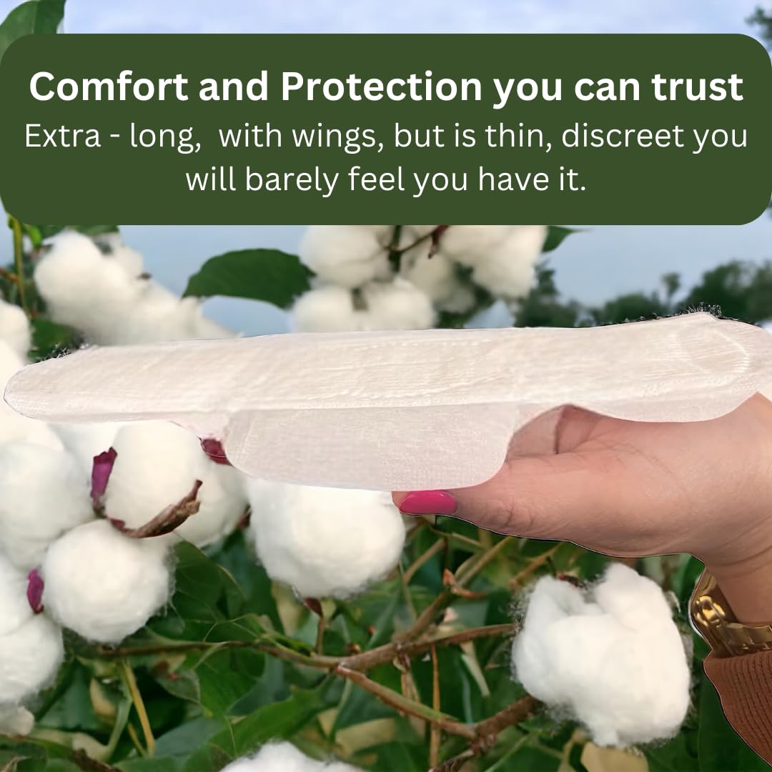 Panty Liners for Women Extra Long - 9.6in X 3.1in (60pads) Organic - Cotton Panty Liners for Women - with Wings - Light Incontinence and Light Period Days - Packaging May Vary
