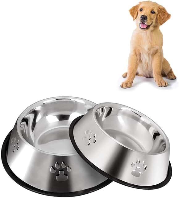 Amazon pet bowls Clearance