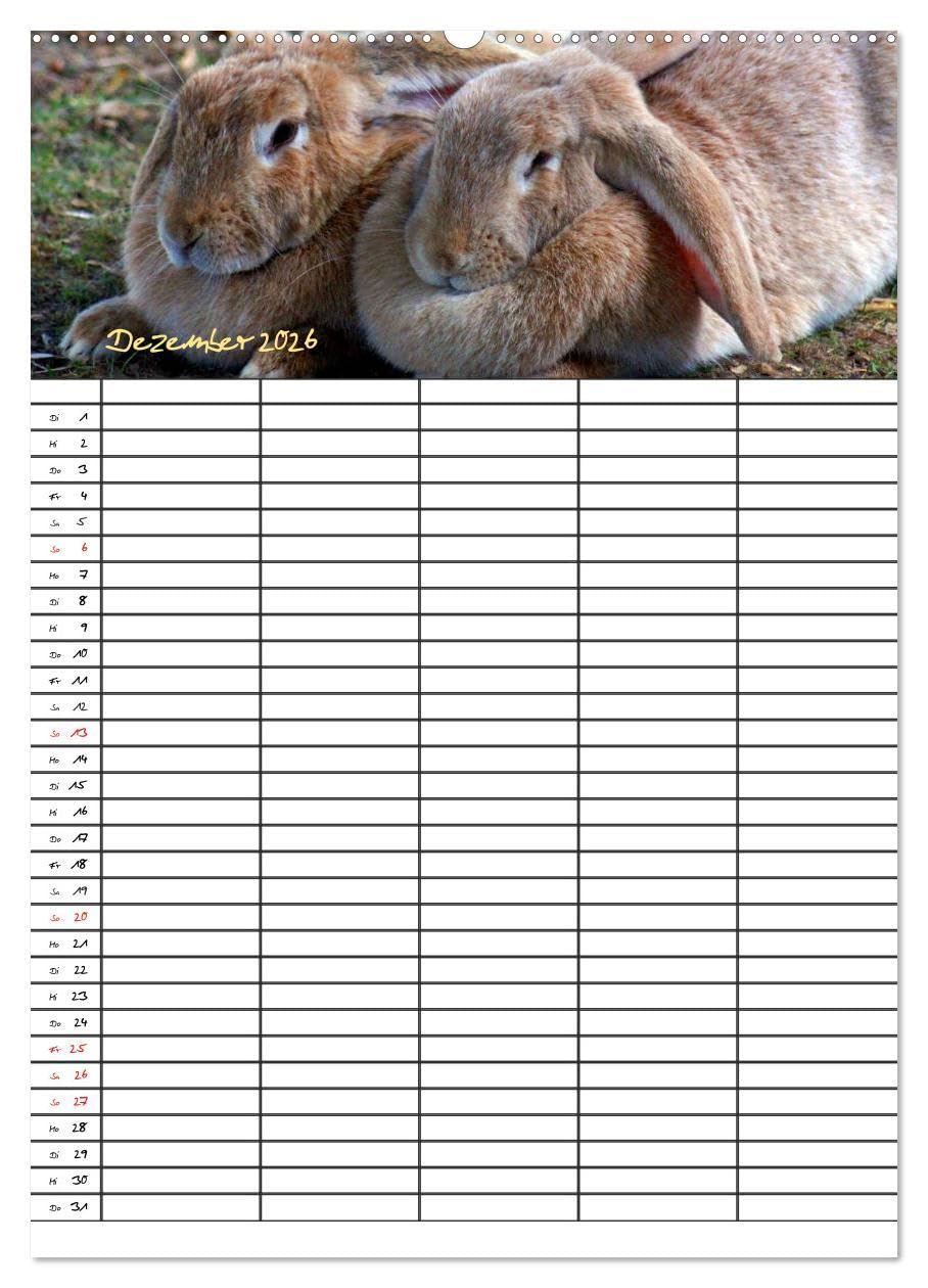 Bauernhoftiere Familienplaner (hochwertiger Premium Wandkalender 2026 DIN A2 hoch), Kunstdruck in Hochglanz: Nutz- und Haustiere (CALVENDO Tiere)