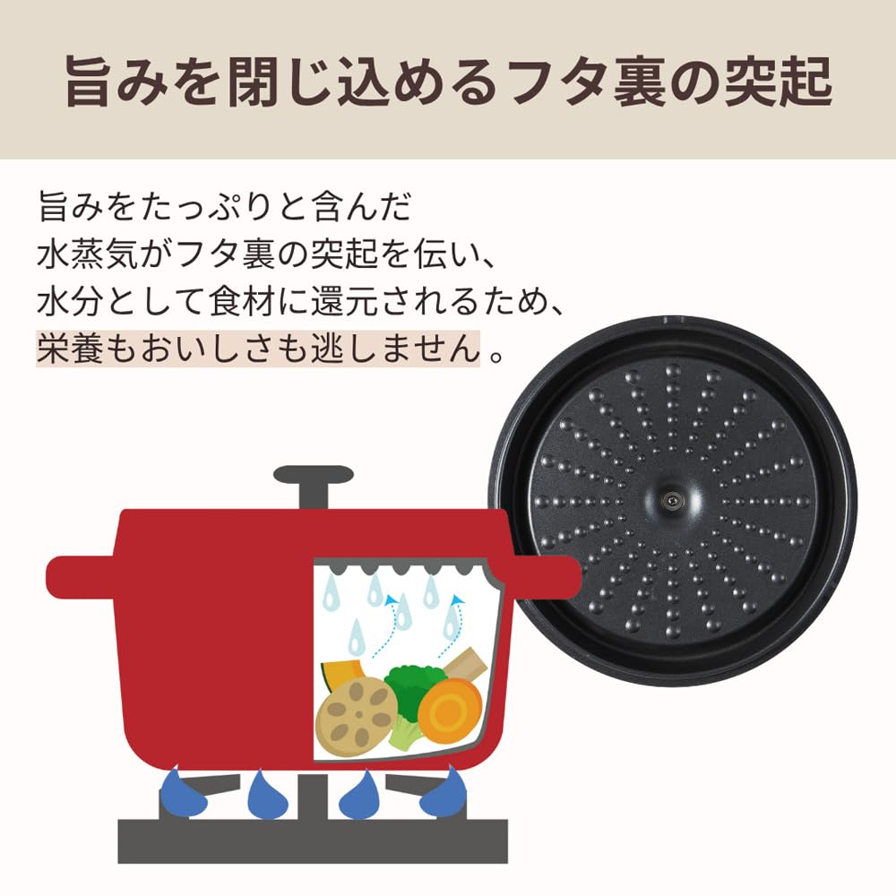 Amazon｜万年 mannen gioia ジョイア 両手鍋 24cm IH対応 キャセロール