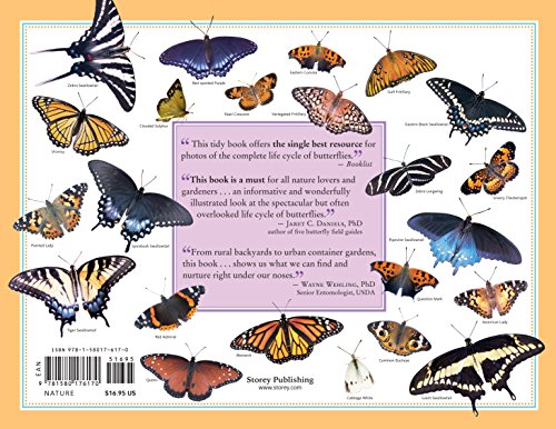 The Life Cycles Of Butterflies: From Egg To Maturity, A Visual Guide To 23 Common Garden Butterflies #TOP1