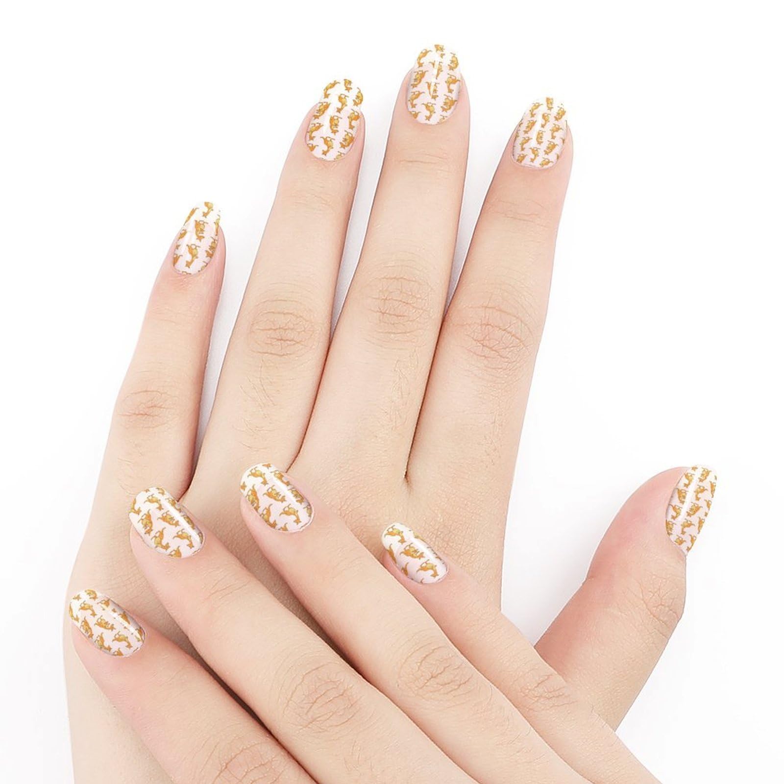 Amazon.co.jp: 面白いカンガルーかわいいネイルステッカー 10枚