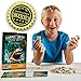 Discover with Dr. Cool Shark Tooth Dig Kit - Dig Up 3 Real Shark Teeth Fossils!