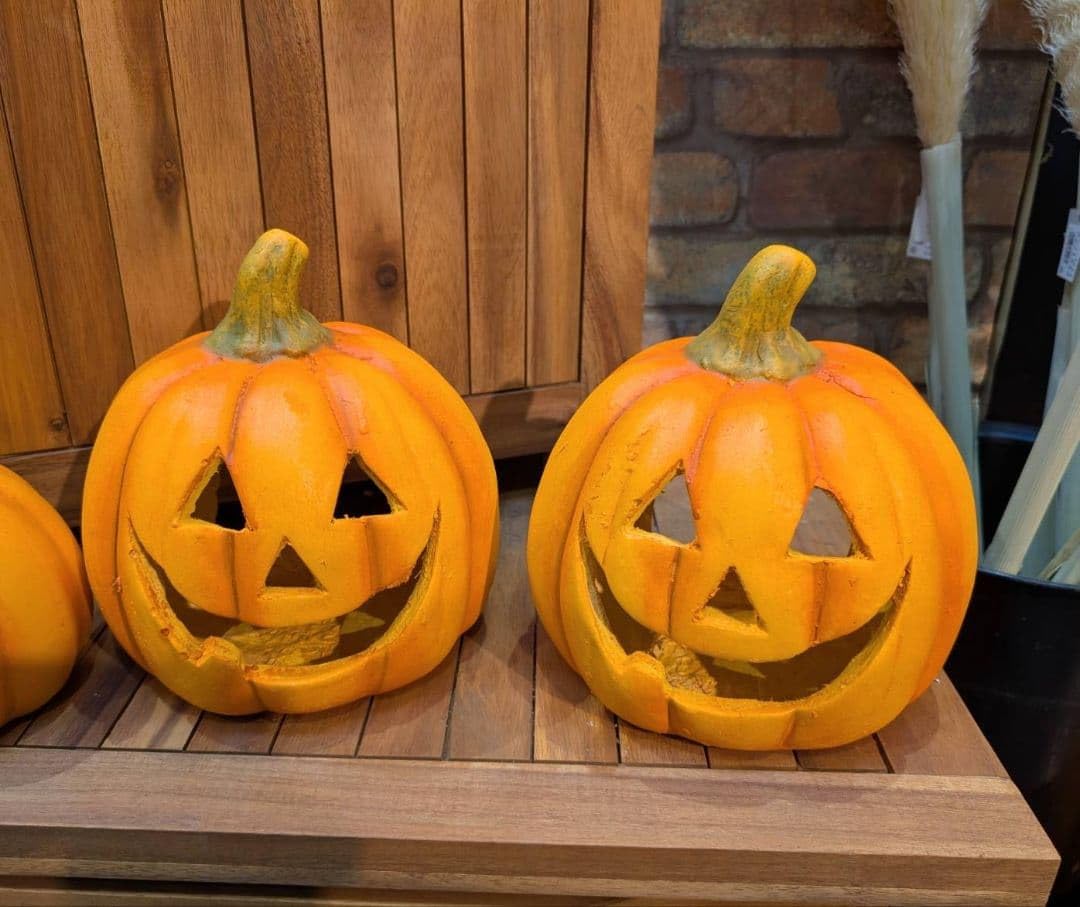 Amazon.co.jp: アトランチックジャイアントかぼちゃ ハロウィン