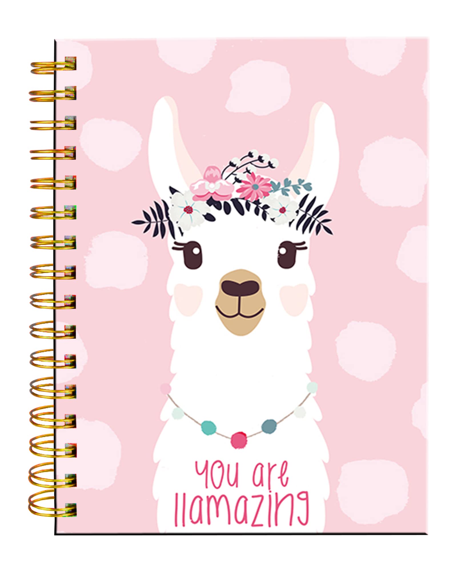 Amazon.com : iampanda Spiral Journal Notebook,Strong Twin-Wire