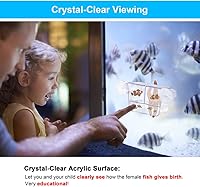 Vista 6 de Caja de cría de peces acuario tanque de retención transparente Caja de aislamiento de peces aclimatación incubadora incubadora criador