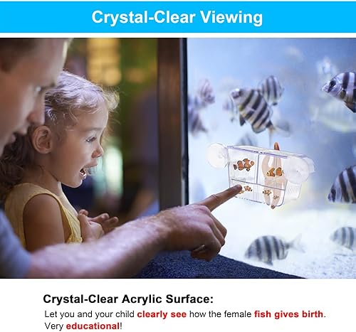 Miniatura 11 de Caja de cría de peces acuario tanque de retención transparente Caja de aislamiento de peces aclimatación incubadora incubadora criador