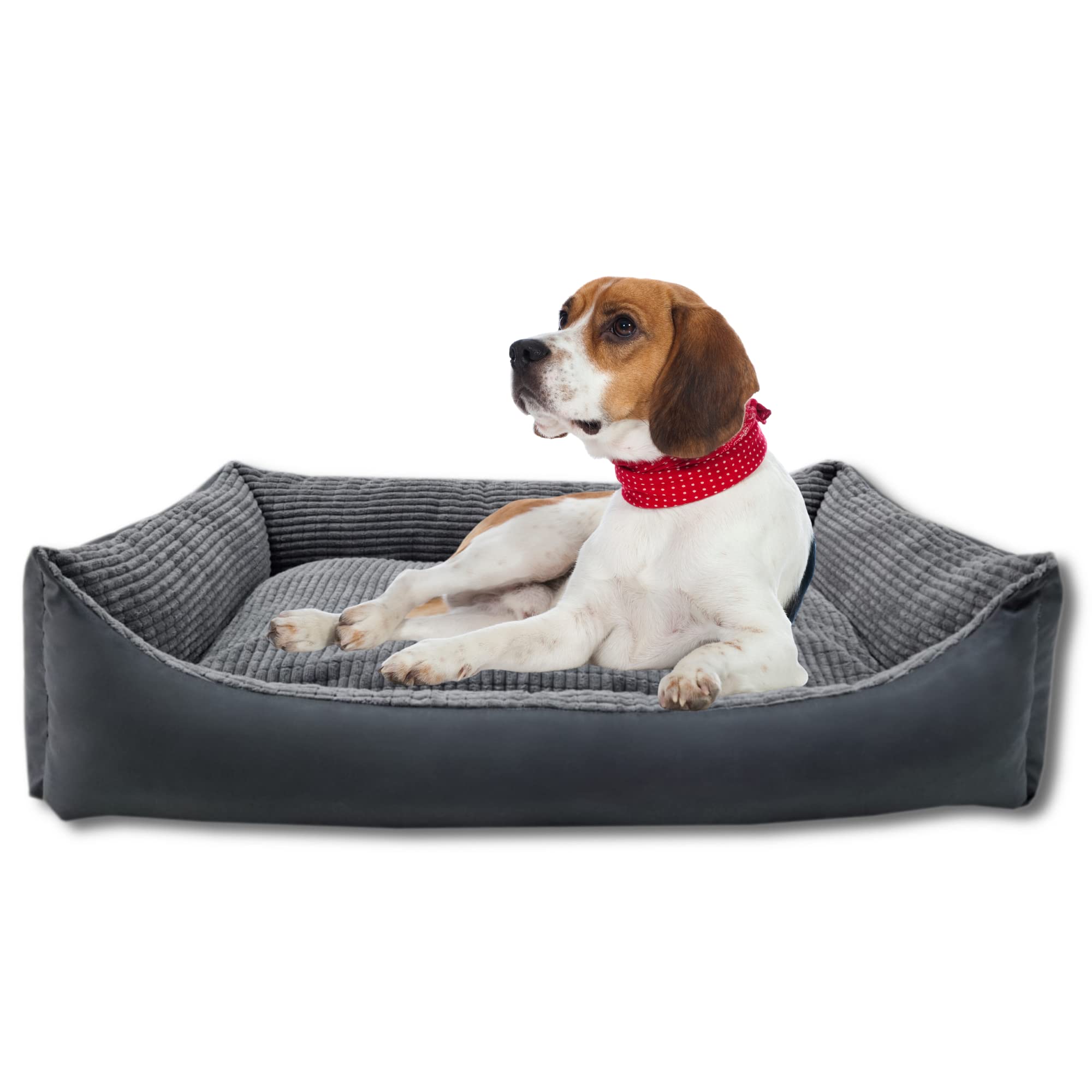 Odolplusz Cuccia XXL per cani 100 x 70 cm – Fodera rimovibile e impermeabile – Comoda cuccia per cani di taglia grande e media – lavabile e robusta