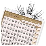 LASHVIEW Cluster Lashes,8-16mm DIY Eyelash Extensions,Cluster Eyelashes for Self-application Individ