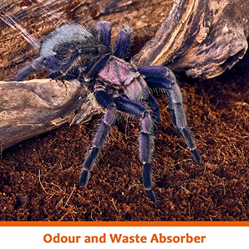 Riare 2 Pack Natural Coconut Fiber Substrate for Reptile- Premium Compressed Coconut Husk Terrarium Bedding for Reptile, Tortoise, Frogs, Snakes Hermit Crabs, Burrowing Animals