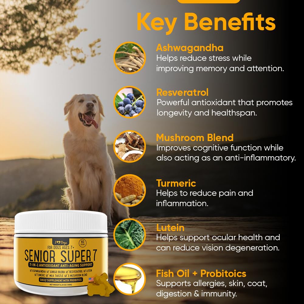 Amazon.com : iHeartDogs Senior Super 7 Daily Dog Multivitamin - 7